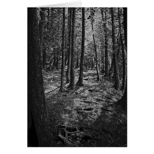 Bosque abstracto (Frente)