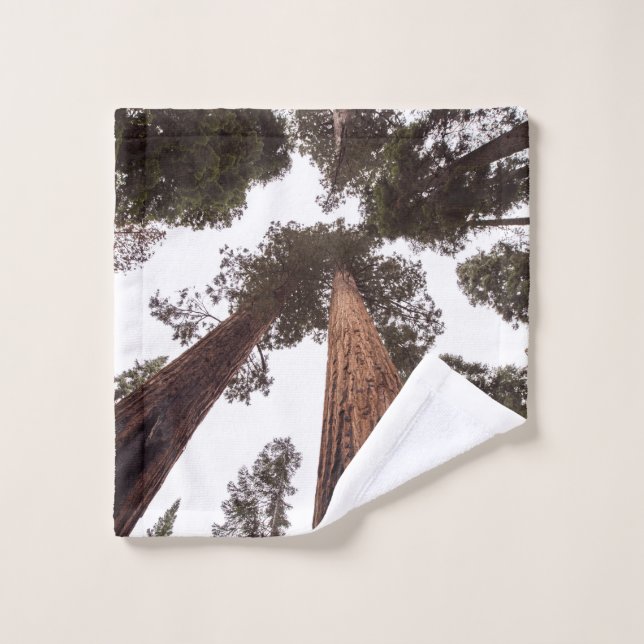 bosque, árbol (Toallita)