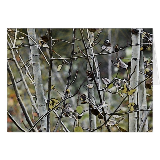 Bosque Aspen (Anverso (Horizontal))