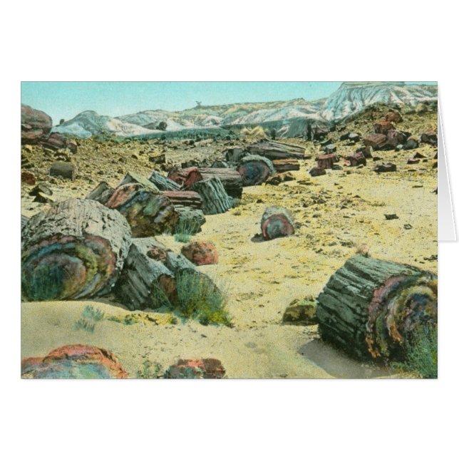 Bosque aterrorizado (Anverso (Horizontal))