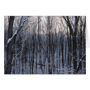Bosque de árboles nevados