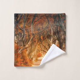 Bosque de arce de otoño que cae bosque de bosques