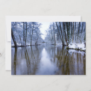 Bosque de invierno con hermosa corriente
