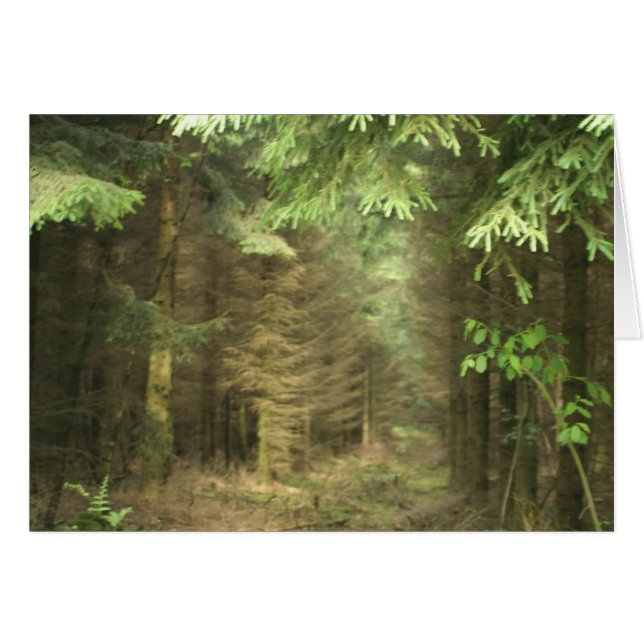 bosque de misterio (Anverso (Horizontal))