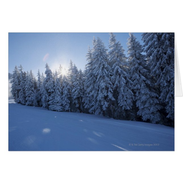 bosque de nieve en la montaña (Anverso (Horizontal))