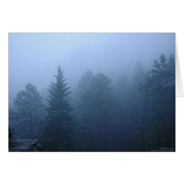 Bosque de Octubre (Anverso (Horizontal))