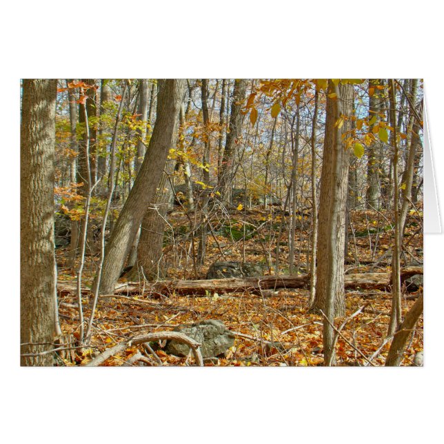 Bosque de otoño (Anverso (Horizontal))