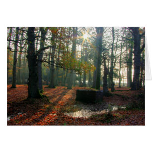Bosque de otoño