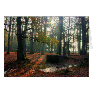 Bosque de otoño