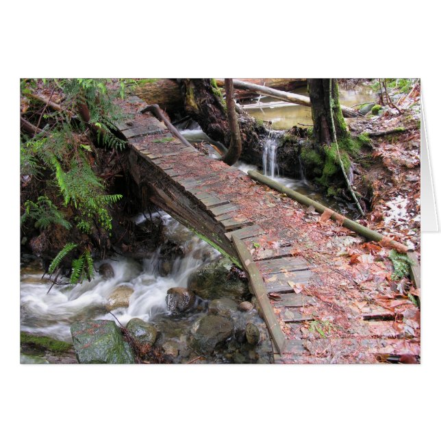 Bosque de otoño (Anverso (Horizontal))