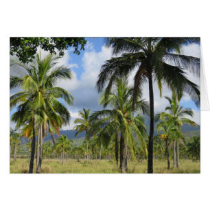 Bosque de palma de coco
