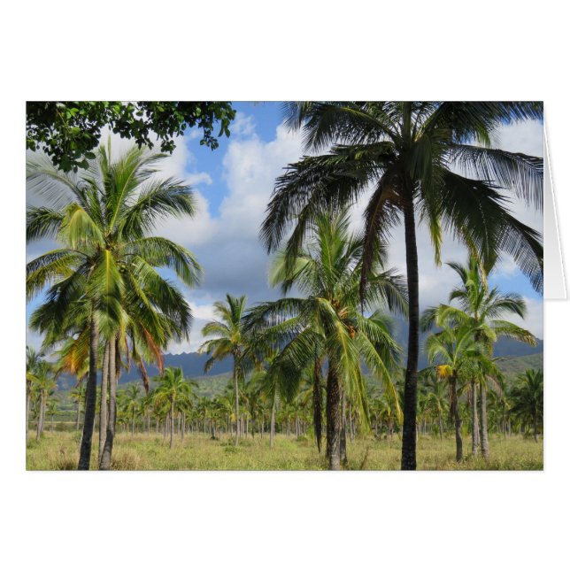Bosque de palma de coco (Anverso (Horizontal))