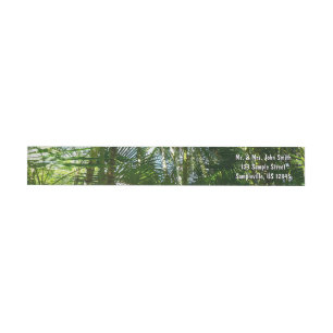 Bosque de palmeras Naturaleza tropical
