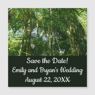 Bosque de palmeras Naturaleza tropical