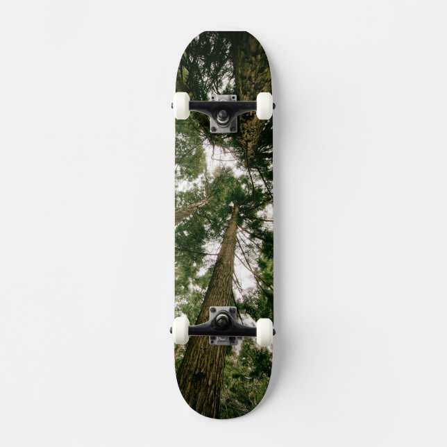 Bosque de perspectiva de skateboard (Anverso)