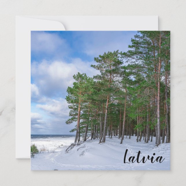 Bosque de pino cerca de la costa marítima de Leton (Anverso)