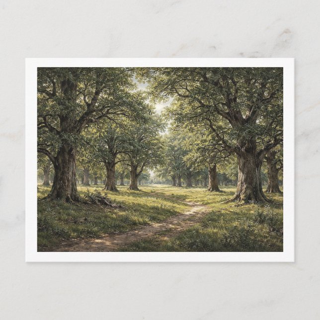 Bosque de robles. Tarjeta postal (Anverso)
