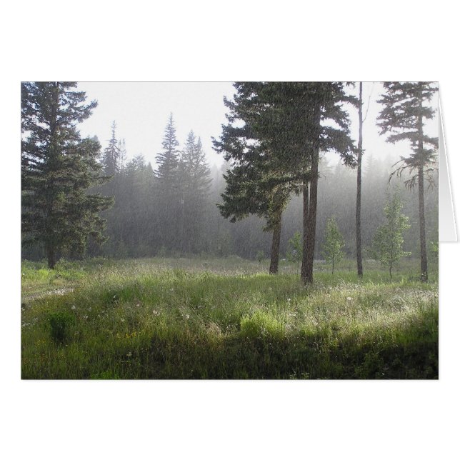 Bosque de Sunrain (Anverso (Horizontal))