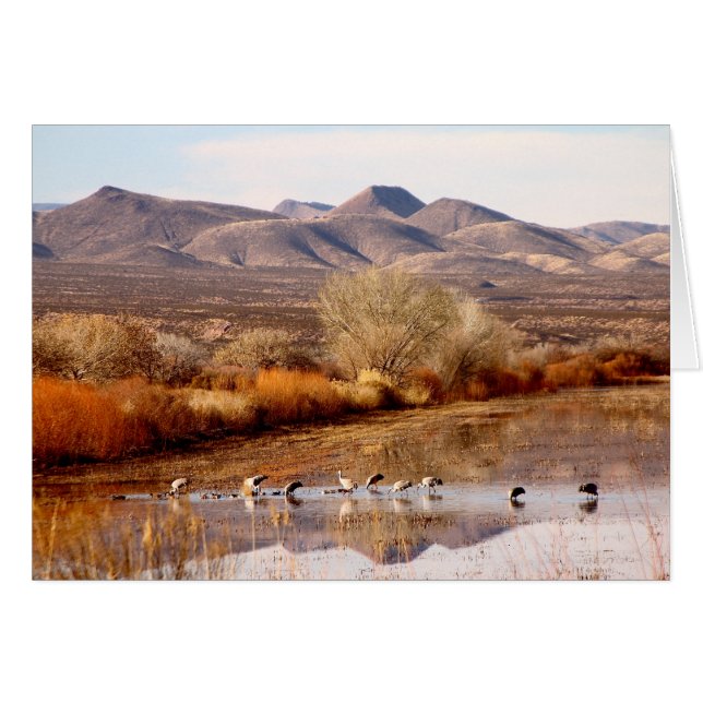 Bosque del Apache, Nuevo México (Anverso (Horizontal))