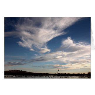 Bosque del Apache, Nuevo México