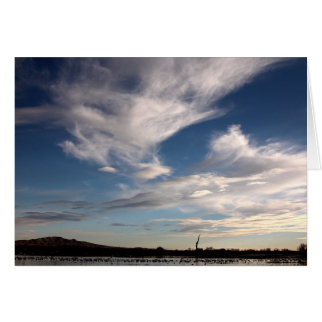 Bosque del Apache, Nuevo México (Anverso (Horizontal))