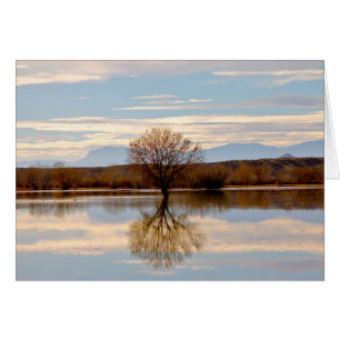 Bosque del Apache, Nuevo México