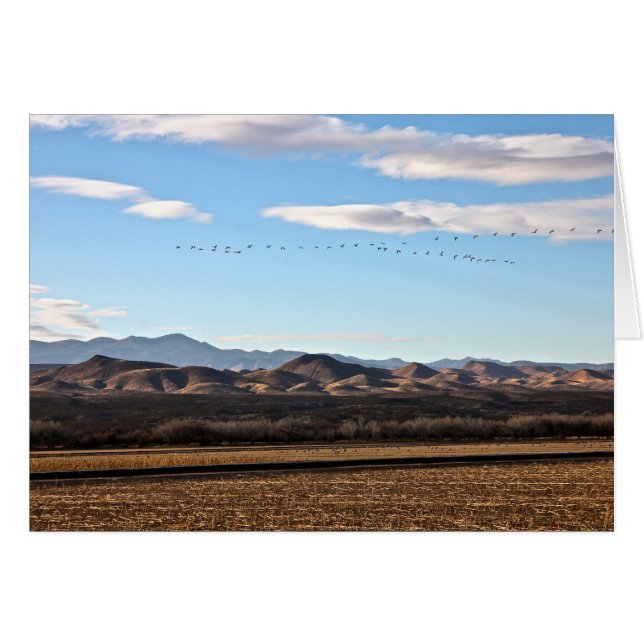 Bosque del Apache, Nuevo México (Anverso (Horizontal))