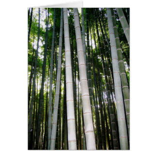 Bosque del bambú de Arashiya