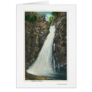 Bosque del Estado blanco de las montañas