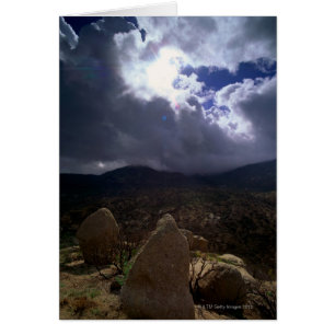 Bosque del Estado de Tonto, Arizona, Estados