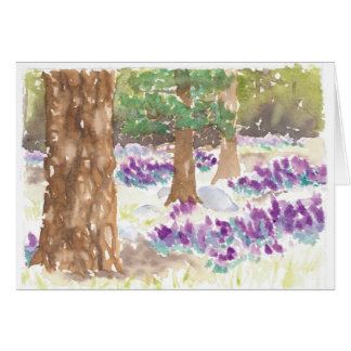 Bosque del Wildflower