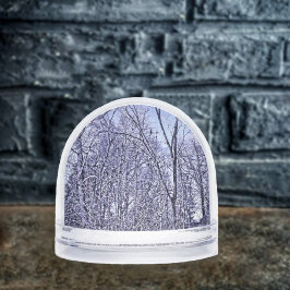 Bosque en Crepúsculo