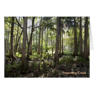 Bosque encantado, arroyo de pesca