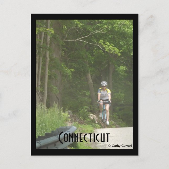 Bosque Estatal De Pachaug, Ct. Postal (Anverso)