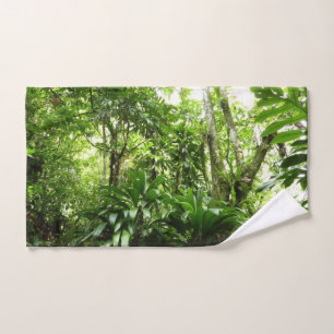 Bosque lluvioso dominicano I Naturaleza tropical v