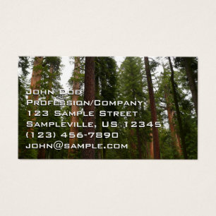 Bosque Mariposa en el Parque Nacional Yosemite