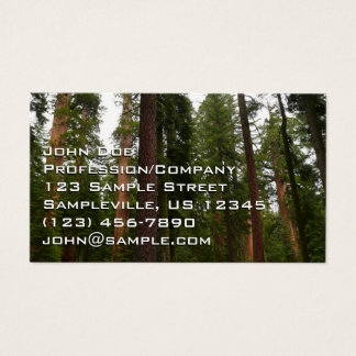 Bosque Mariposa en el Parque Nacional Yosemite