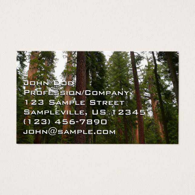 Bosque Mariposa en el Parque Nacional Yosemite (Frente)