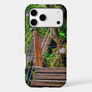 Bosque Musgoso