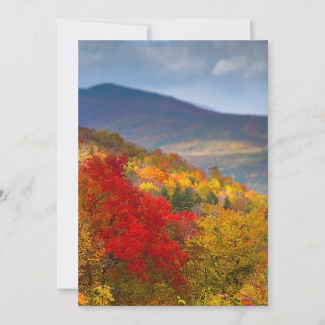 Bosque nacional de las Montañas Blancas (Anverso)