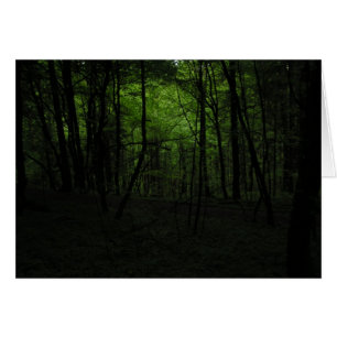 Bosque oscuro abandonado