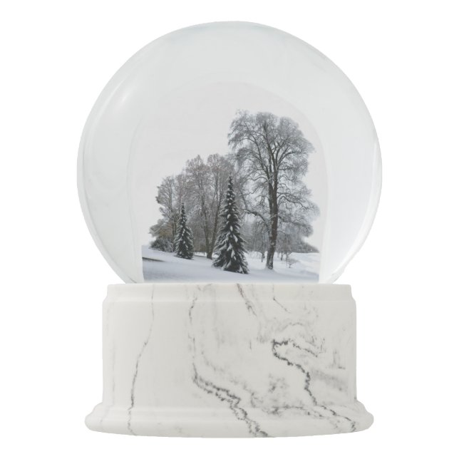 Bosque Snowglobe de la nieve del globo de la nieve (Anverso)
