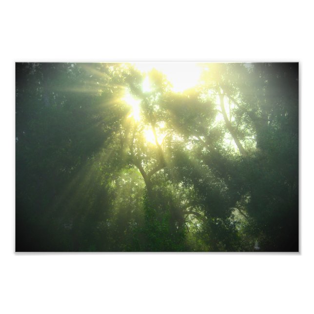 Bosque Verde Profundo - Impresión fotográfica (Frente)