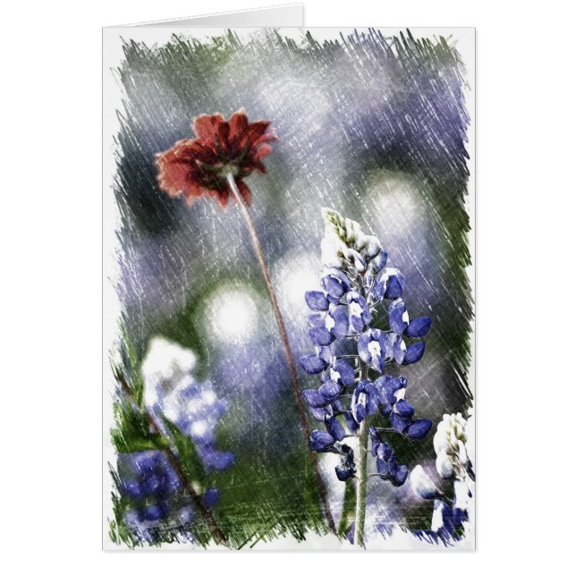 Bosquejo del Bluebonnet (Frente)