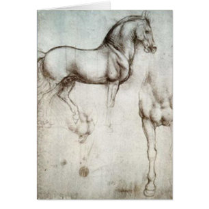 Bosquejo del caballo