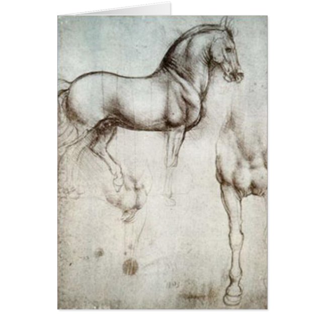 Bosquejo del caballo (Frente)