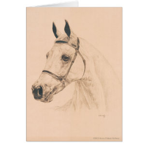 Bosquejo del caballo de Susan Pelisek Kolberg