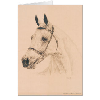 Bosquejo del caballo de Susan Pelisek Kolberg