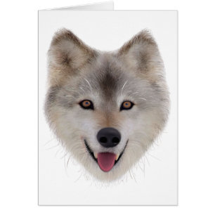 Bosquejo del lobo de la nieve