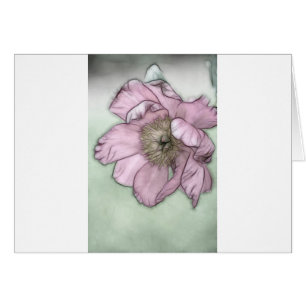 Bosquejo rosado de la flor del Peony
